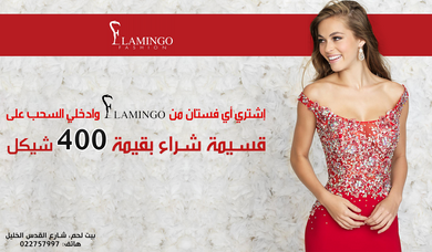 Flamingo Fashion