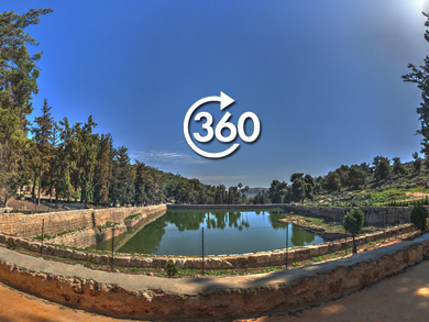 Solomon Pools
